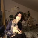 다섯마리 하우스 이미지