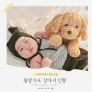 제일컴퓨터세탁 | 애착인형 출산선물로 좋은 블랑가또 강아지인형 후기 &amp; 세탁법