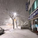 강원특별자치도 영월군 영월읍사무소 이미지