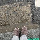 저동 시장 골목 이미지
