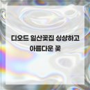디오드 일산꽃집 싱상하고 아름다운 꽃