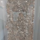 성산패총 이미지