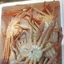 경일오토바이 - 성동구 고산자로 354 | 경일오토바이
