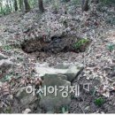 가로수자산관리