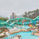 스플라스리솜 이미지