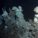 HN COMMERCE 이미지