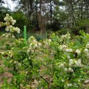 우석농장 이미지