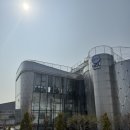 명지 카페 엠오엘 부산대형카페 추천 상하이 버터떡 싸게 사는 법