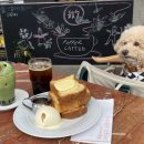 시즈닝 페퍼 이미지