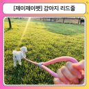 제이제이펫 | 강아지리드줄 추천 제이제이펫 도톰한 그립감의 신세계 손에 착 감겨 편한 산책줄 후기