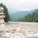 [하계 설악산 등반 및 론리라이딩]5.내설악 백담사에서... 이미지