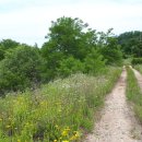 선어대매운탕 이미지