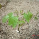 세신농장 이미지