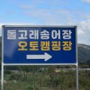 돌고래오토캠핑장2 | 경북 상주 돌고래 오토캠핑장 후기 대전 대구 근교 캠핑장