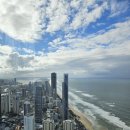 조혈모세포 이식에 대하여 이미지