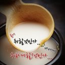 막걸리한잔 - 성주군 | 막걸리한잔