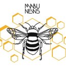 꿀벌세탁소 이미지