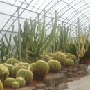 일출랜드식물원 이미지