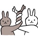 석전동292 이미지