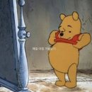 금수세탁 | 1월 일상 29주 임신 후기 진입 +29w3d