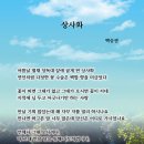 (주)드림모터스 이미지