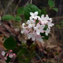 눈길등산로 이미지