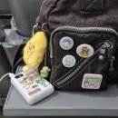 대도관 | ~경주여행~