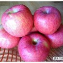 쌍둥농장 이미지