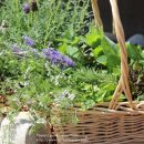 유진허브 이미지