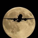 251009 성남, 길바닥 민심은 &#39;혼전&#39;… 흔들리는 &#39;안방&#39; 이미지