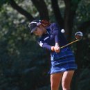 하이트퀸 이미지