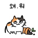 모여봐요 고양이카페 이미지