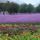 용대관광지2 이미지