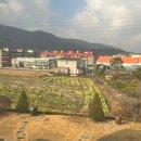 더머묾