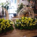 명곡동286 이미지