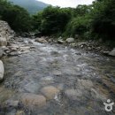 성흥사 Daum카페