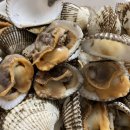 종갓집 꼬막회관 이미지