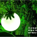 하남시종합사회복지관(별관) 이미지