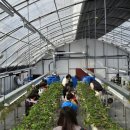 농촌테마공원1 이미지