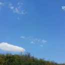 샛별양푼이동태탕 | 국물이 끝내주는 구리역 맛집 옹기종기 통큰양푼이 동태탕