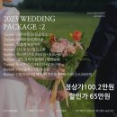 다채몽드