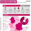 진단키트 관련 핵심주(대장주+신주도주) - 코로나19 4차 대유행 우려감! =＞ 실시간 분석! 이미지