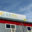 정직한 닭