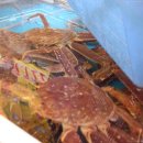 기장총각대게 이미지