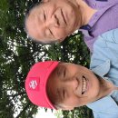 실과바늘
