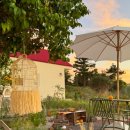 하귤소담 이미지