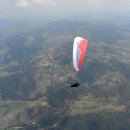 삐에드라 이미지