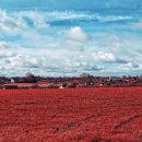 인물로 알아보는 중국 사회문화 | 시간을 멈춘 듯한 고도, 중국 서안(西安)에서 만나는 영원한 감동