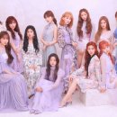 내맘이지(iz) 이미지