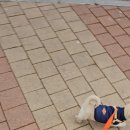 일호자동차 이미지